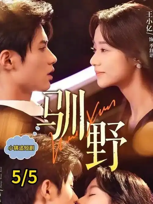 长夜拾光缩略图