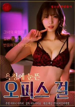 长夜拾光封面图